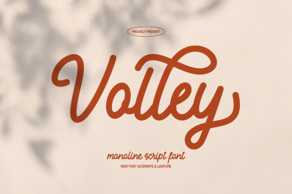 Download Volley - Premium Resources